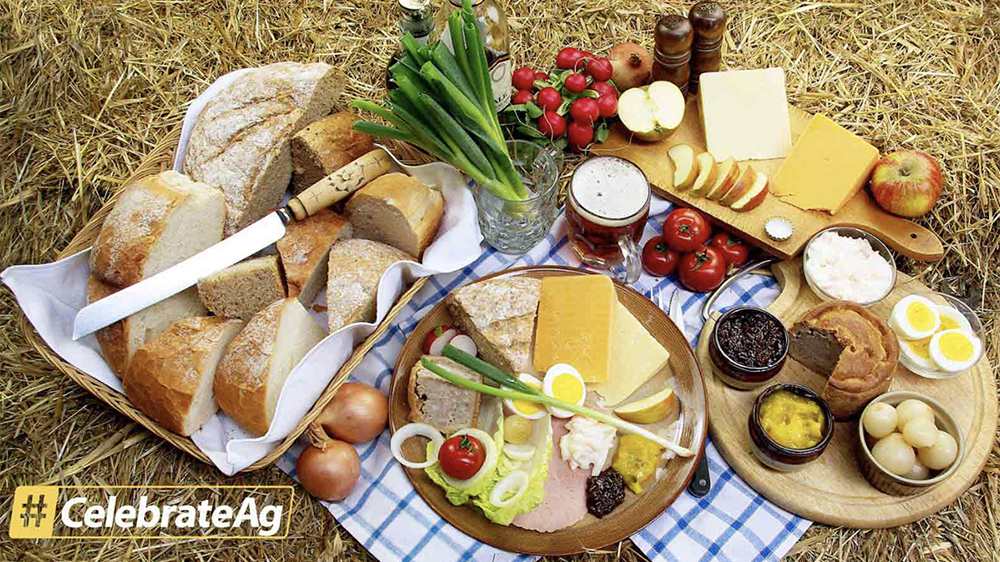 Sask. residents encouraged to celebrate bounty of food The Western