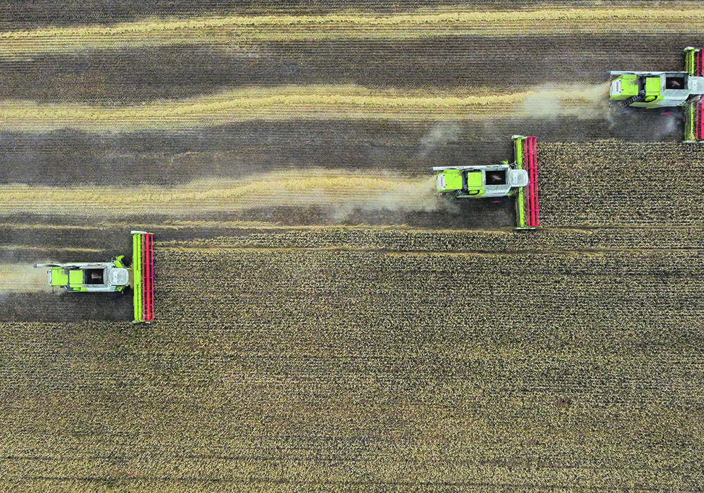 SovEcon, which is projecting a 100 million tonne wheat harvest in Russia this year, had thought the U.S. Department of Agriculture would raise its 91 million estimate in a recent report, but it didn’t.  |  Reuters/ Alexey Malgavko photo