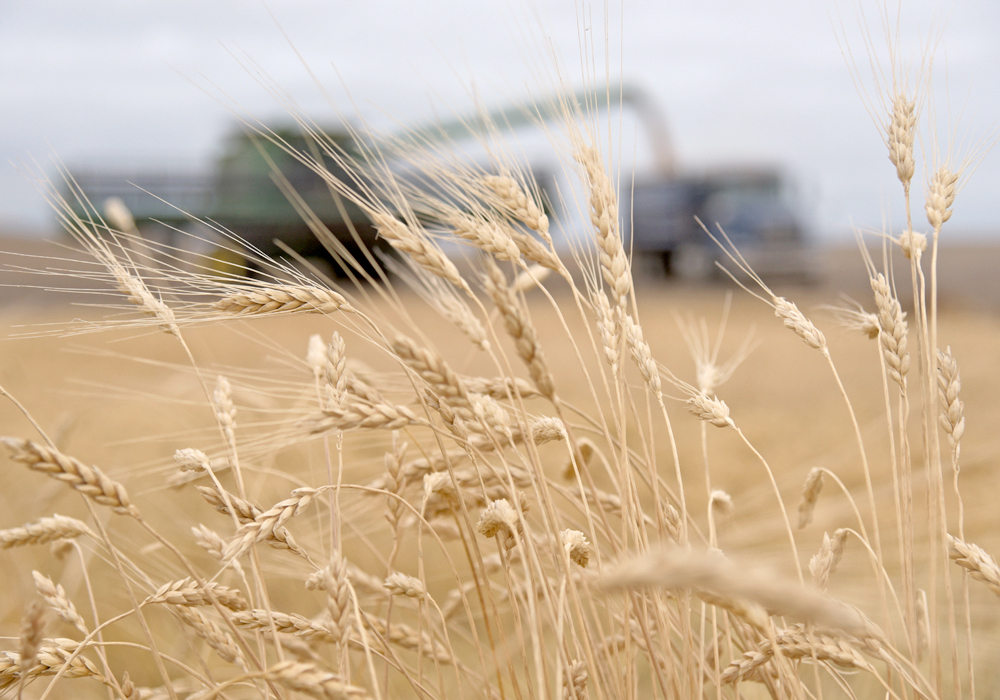 With bulk commodities, there are always markets. Supplies from one source are, by nature, substitutable by those from other sources. They’re easy to store, to ship, to swap and trade. They might need to be discounted in order to find a home, but they always find a home.  | File photo