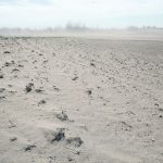 The cumulative effects of soil erosion and its economic impact have not been well studied. | File photo