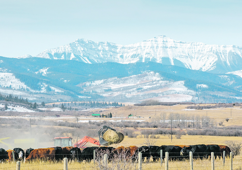 Talks with the CCA include potentially moving toward a different funding model for the national organization “to help us through a difficult time right now with our funding,” said Melanie Wowk, chair of ABP.  | Mike Sturk photo