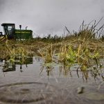 Excessive rainfall is threatening the wheat crop in Parana in southern Brazil, said Michael Cordonnier, analyst with the Soybean & Corn Advisor newsletter. | File photo