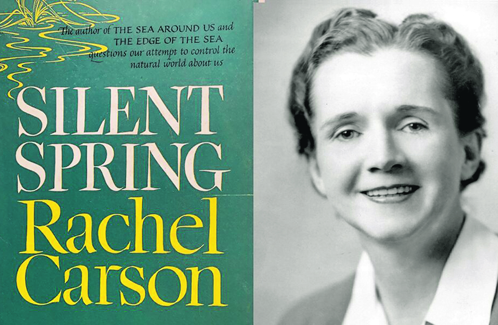 The author looks at what we’ve learned about pesticides and the environment in the six decades since publication of the book that changed how the world sees nature.  |  File photo