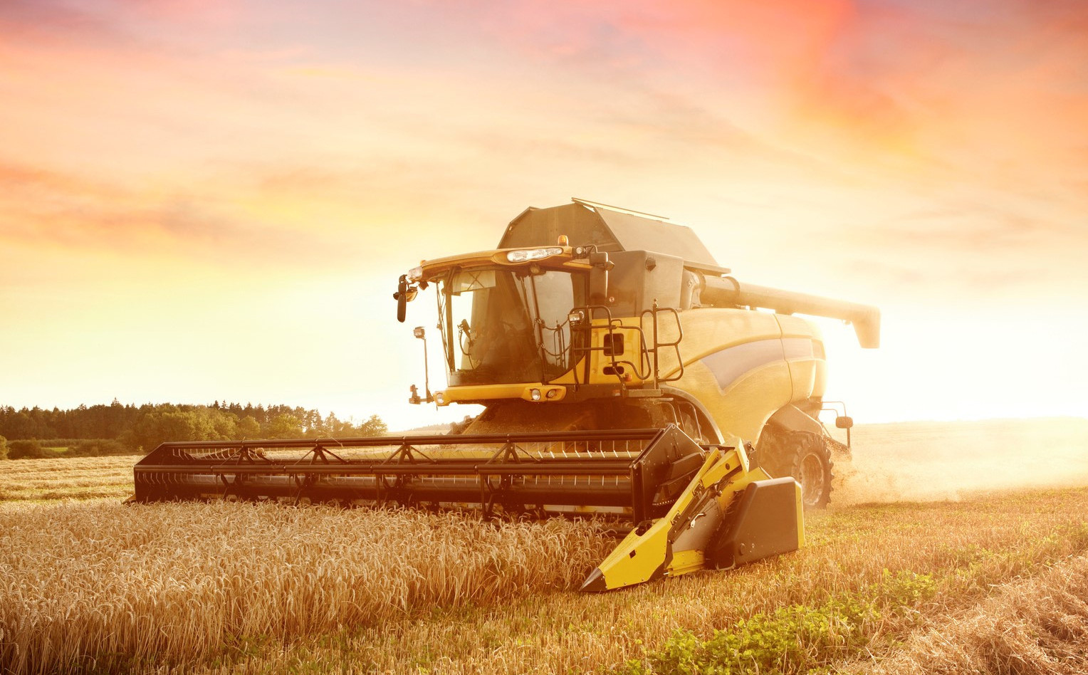 Every farm operation is unique and RBC’s flexible terms and payment schedules allow farmers to customize their lease to suit their business needs.