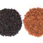 USDA scientists in Arkansas have developed and commercialized a purple rice, with an appropriately royal name — USDA Tiara. | USDA photo