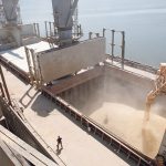 The Chicago Board of Trade (CBOT) most-active wheat contract fell 6 percent to US$8.47-3/4 a bushel by 1100 GMT, paring the two-day rise that followed the announcement of Russia's suspension. | Reuters photo