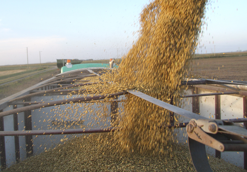 Crop yield baselines appear to have the longest lasting accuracy, but most other factors become error-prone after four to five years. | File photo