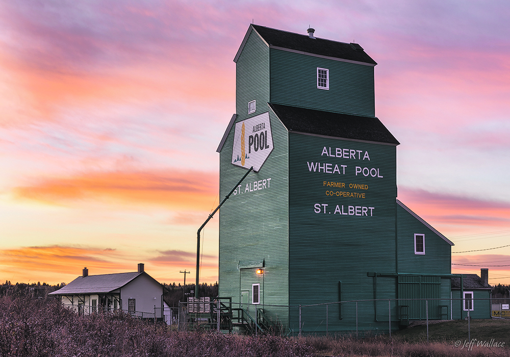 Alberta Wheat Pool would have turned 100 next year The Western Producer Alberta Wheat Pool would have turned 100 next year The Western Producer