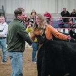 Chad Wilson of Wawota, Sask., one of three judges in the Little Lady Classic, shakes hands with Laura Horner of the Horner Cattle Co. near Minnedosa, Man., after her female was declared the champion in the all-breed class. There were 50 entries in the class. | Sandy Black photo