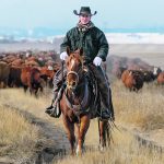 Jordan Hofer helps move 420 head of High River Colony cattle to a different pasture south of Blackie, Alta., Oct. 28. Cow-calf operators can expect good prices heading into the fall run and possibly for the next few years, but rising input costs remain a threat. | Mike Sturk photo