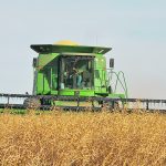 Even though mustard yields are typically only 50 to 70 percent those of canola, when you work through cropping budgets, mustard is going to look very strong given the early contract prices. | File photo
