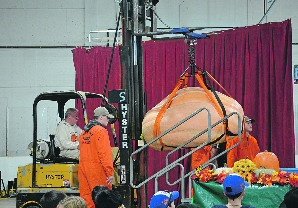 Organizers of the Great White North Pumpkin Fair in Smoky Lake, Alta., had to bring in a heavier forklift to lift Don Crews’ monster pumpkin.  |  Les Dunford photo