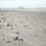 “It’s not just a little bit drier than the 1930s, it’s way drier,” said Garner Deobald, president of the Saskatchewan Stock Growers Association.
| File photo