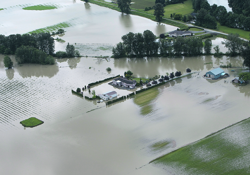Flooding last November caused an estimated $285 million in damage to British Columbia producers, affecting more than 1,000 farms and 2.5 million livestock.  |  Reuters/ Andy Clark photo