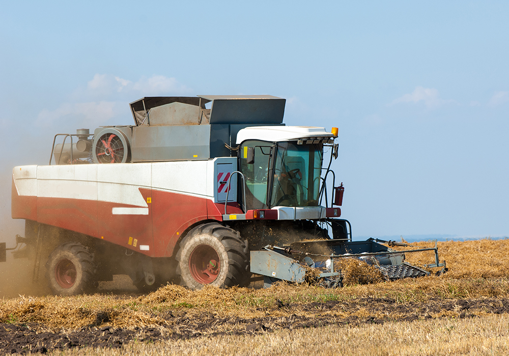 Russia harvested a record 4.3 million tonnes of peas in 2022, according to a recent Global Pulse Confederation (GPC) article. | Getty Images