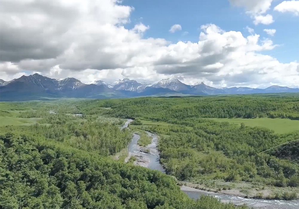 Known simply as the Yarrow, the ranch encompasses more than 4,000 acres north of Waterton Park in the southwestern part of Alberta and contains endangered prairie grasslands and mammals. | Screencap via theyarrow.ca