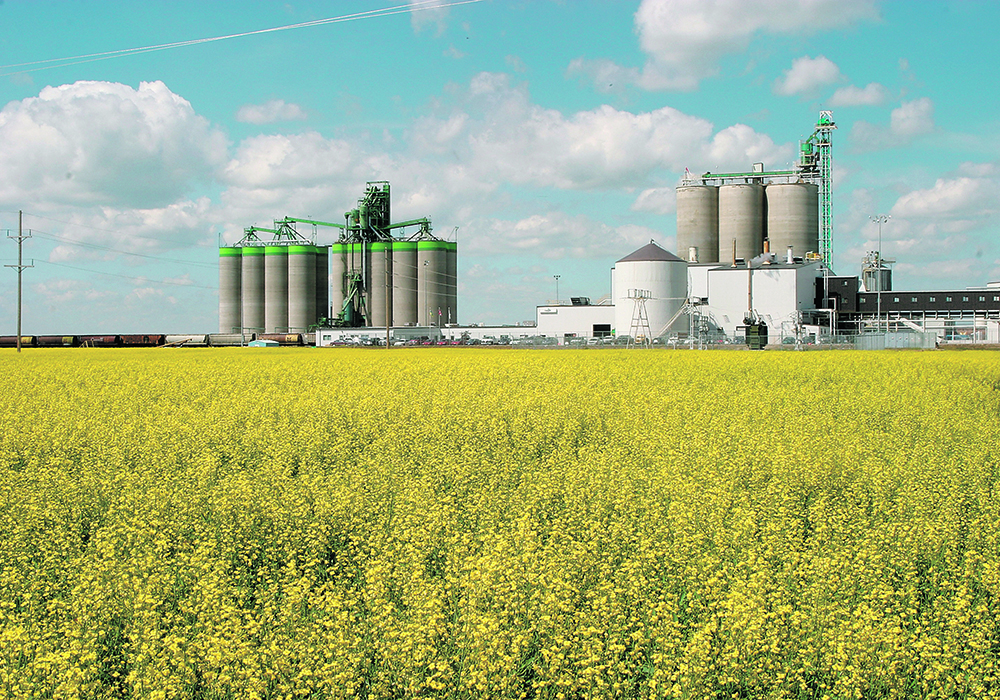 Cargill is selling Corteva all intellectual property associated with its canola breeding program, including experimental canola lines currently under development, genetic markers and traits.  |  File photo