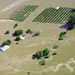 Large areas of farmland across the Australian states of New South Wales, Queensland and Victoria have been inundated with flood waters, damaging wheat and other crops. | Getty Images