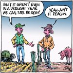 Better production practices help farmers survive drought