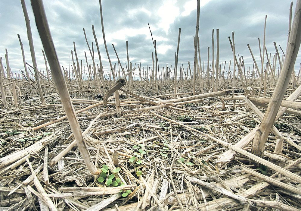Perception is no substitute for empirical data. | File photo