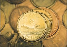 "Our expectation and our forecast is we'll probably settle in around 75 cents," said Ross Prusakowski, principal economist with Export Development Canada. He thinks the trading range will likely be $0.73 to $0.78 (USD) as inflation concerns ease.| Reuters/Mark Blinch photo