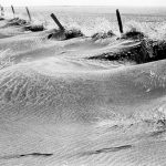 The National Farmers Union calls for the creation of a Canadian Farm Resilience Agency that would draw on lessons from the Prairie Farm Rehabilitation Administration, which rose out of the Dirty Thirties.  |  File photo