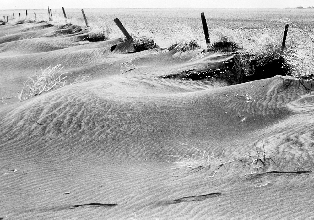 The National Farmers Union calls for the creation of a Canadian Farm Resilience Agency that would draw on lessons from the Prairie Farm Rehabilitation Administration, which rose out of the Dirty Thirties.  |  File photo