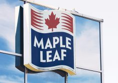 Maple Leaf Foods is the second North American meat processor to fall victim to a ransomware attack in the last two years. | Reuters photo