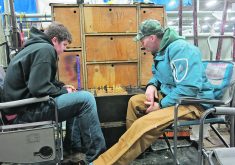 Barry Lehmann of Rosthern, Sask., plays chess with his son, Gavin, in the barn at Farmfair International.  |  Doug Ferguson photo