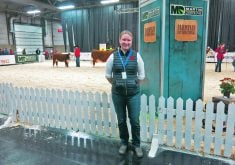 Kalyn Van Horne, event manager with Farmfair International, says the Edmonton show is significant because it “provides the outlet for purebred breeders in this region to exhibit their cattle, and advertise and market their genetics that they’re breeding.”  |  Doug Ferguson photo