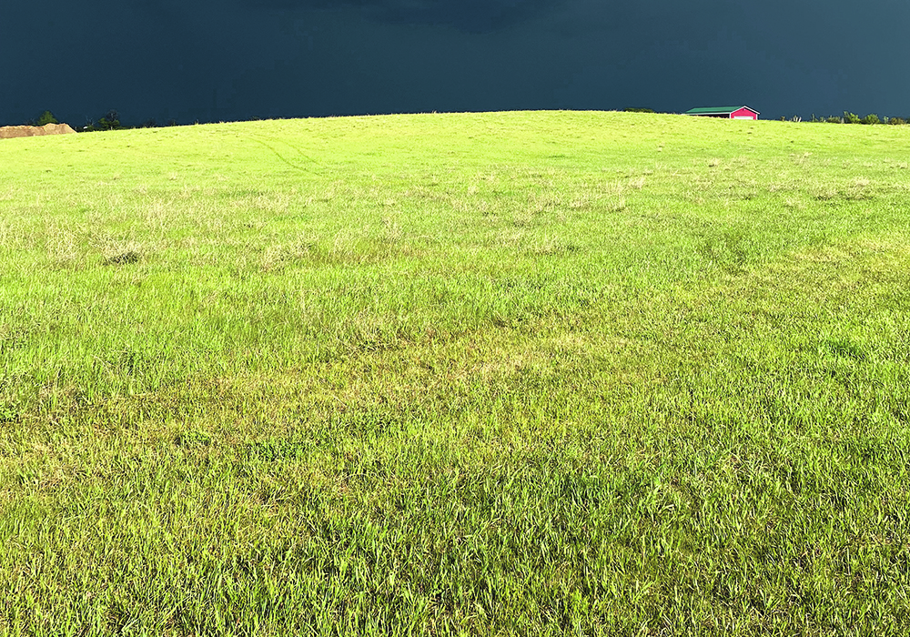 An agricultural realty specialist says higher borrowing costs will ultimately impact the market for farmland.  |  Brian Cross photo