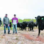 Wes Sargent, left, and Darrell and Blake Laurenceson run Prairie Prime Wagyu near Mannville, Alta. | PraIrie Prime Wagyu photo