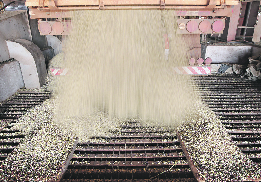 North Dakota now ships about 70 percent of its soybean harvest to China, but new facilities will be able to process half of the state’s soy harvest into oil for biofuel and meal for livestock feed.  |  Reuters/Paulo Whitaker photo
