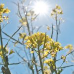 In all my years of farming, issues related to the environment have been the most polarizing. | File photo