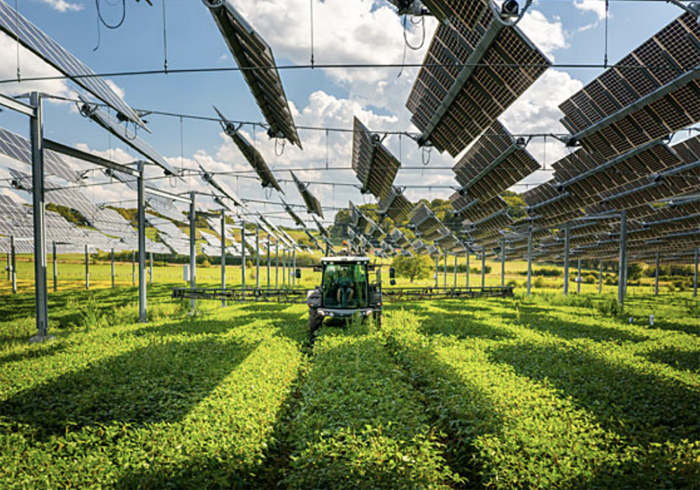 Researchers working for the French solar developer TSE have installed a five-metre-high metal frame over 12 acres of farmland onto which solar panels have been installed. The panels are high enough off the ground that farm equipment can work underneath. | Screencap via tse.energy