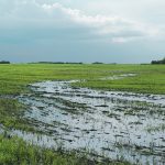 Farmers, insurers and governments all have an incentive to make sure crop insurance is relevant and attractive to farmers, while not encouraging negative farming actions. | File photo