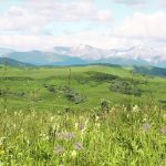 Alberta premier Danielle Smith has said in the past that she doesn’t see anything wrong with coal mining in the Eastern Slopes because it is a vital source of jobs. Agricultural producers, First Nations and others worry about what this kind of development would do to their water sources. | File photo