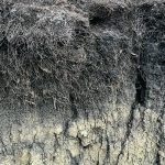 Researchers at universities in the United Kingdom have proposed a whole system approach to assess soil health based on a new type of framework. | File photo