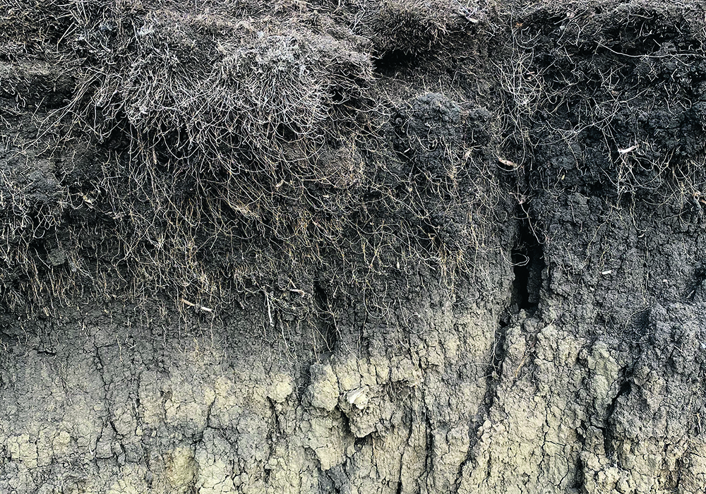 Researchers at universities in the United Kingdom have proposed a whole system approach to assess soil health based on a new type of framework.  |  File photo