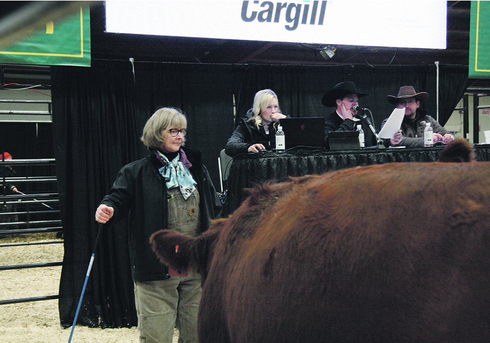 June Mebs from Mebs Ranch at Broadview, Sask., participates in the commercial cattle sale ring during Canadian Western Agribition.  |  Karen Briere photo