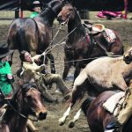 The V over Triangle Ranch team got off to a rocky start in the wild horse race event at the Agribition Ranch Rodeo, where contestants show off working ranch skills. | Mike Raine photo