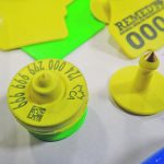 Low-frequency radio frequency identification ear tags are currently the only officially approved tags for tracking livestock. | File photo