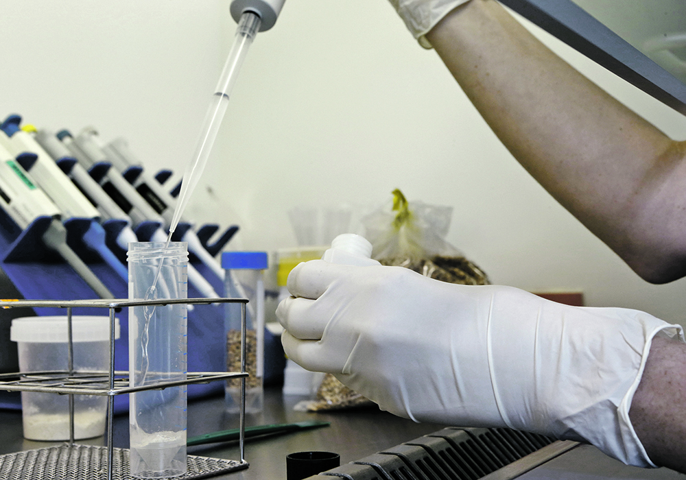 The agriculture industry argues that it is important for the government to act quickly on gene editing because the rest of the world, other than the European Union, has adopted the practice, and clearly spelling out guidance will allow companies to invest in Canada.  |  Reuters/Ints Kalnins photo