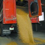 The picture is much less rosy, however, when crop insurance payments and sold-off crop inventories are excluded from the numbers. | File photo