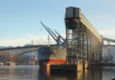 The export pace fluctuates through the year and the amount moved at this fairly early point is not necessarily how things will wind up by Week 52, but it is worth looking at. | Getty Images