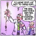 Gene-edited crops rules needed soon