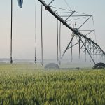 Nearly $1 billion is expected to be invested in irrigation in southern Alberta through provincial grants and federal loans. | File photo