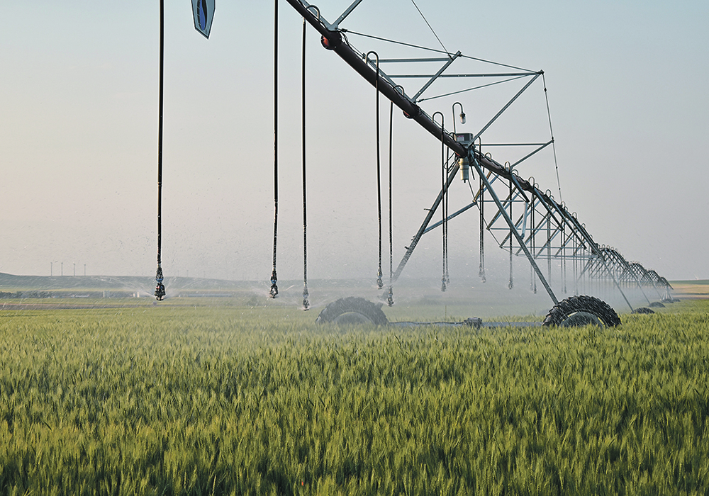 Southern Alta. irrigators approve expansion The Western Producer