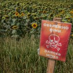 Loic Boucher, Corteva Agriscience’s oilseed marketing lead for Europe, the Middle East and Africa, said sunflower is the biggest oilseed crop grown in Ukraine. A large portion of it is planted in the war-torn southeast part of the country where the fighting has been fierce. | Reuters photo