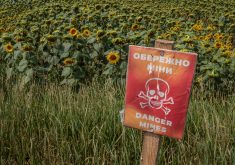 Loic Boucher, Corteva Agriscience’s oilseed marketing lead for Europe, the Middle East and Africa, said sunflower is the biggest oilseed crop grown in Ukraine. A large portion of it is planted in the war-torn southeast part of the country where the fighting has been fierce. | Reuters photo